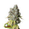 Bruce Banner Auto VERKAUF