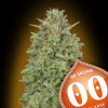 00 Skunk AUSVERKAUF