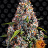 Strawberry Cheesecake Auto AUSVERKAUF