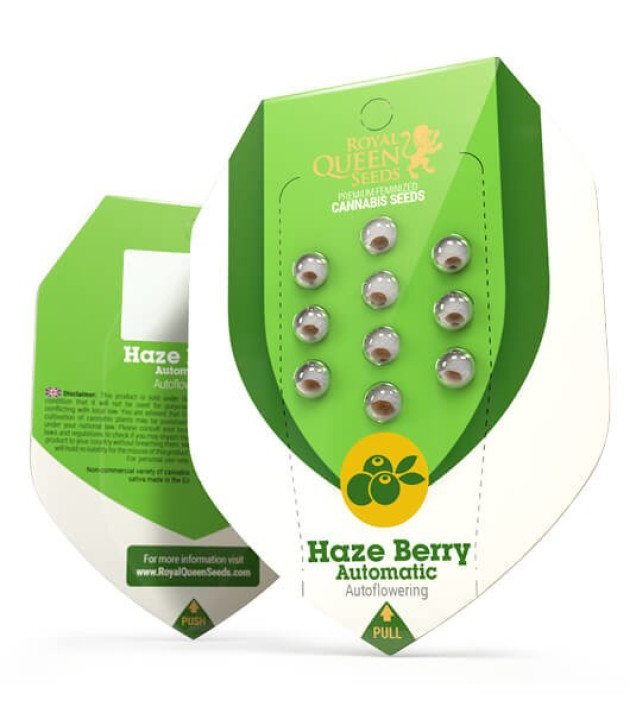 Haze Berry Auto AUSVERKAUF