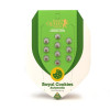Royal Cookies Autoflowering AUSVERKAUF