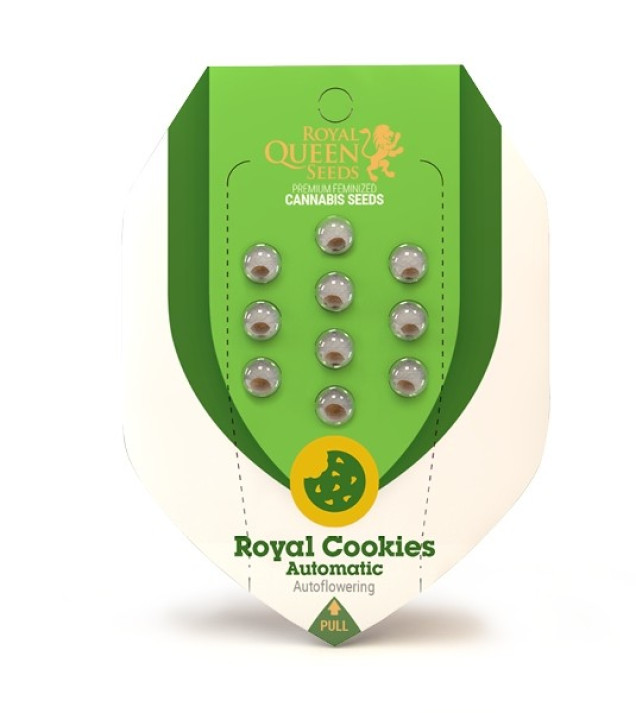 Royal Cookies Autoflowering AUSVERKAUF