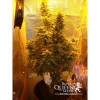 Amnesia Haze Automatic AUSVERKAUF