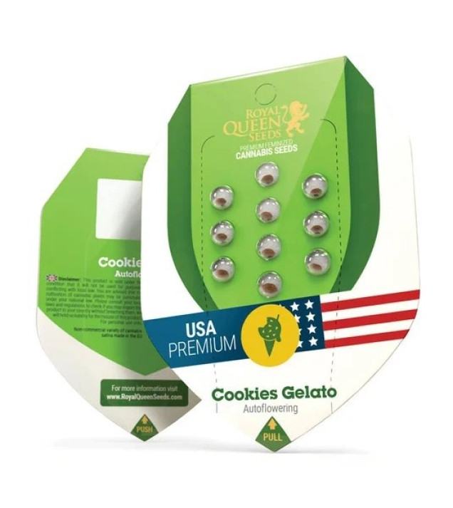 Cookies Gelato Auto AUSVERKAUF
