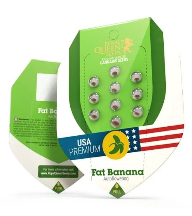 Fat Banana Automatic AUSVERKAUF