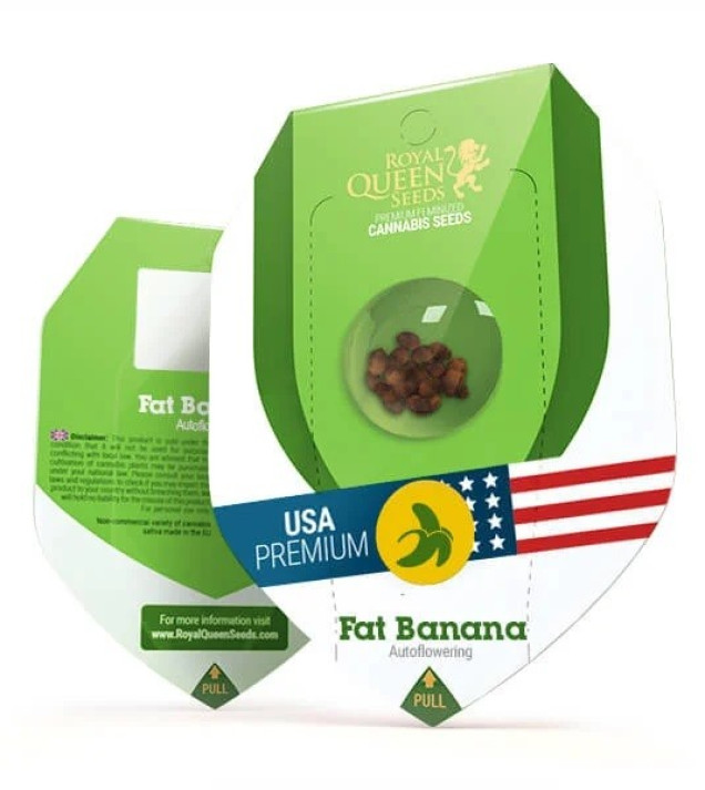 Fat Banana Automatic AUSVERKAUF