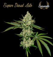 Super Diesel Auto
