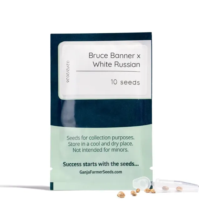 Bruce Banner x White Russian