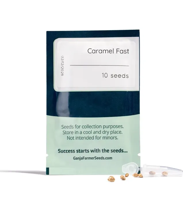 Caramel Fast