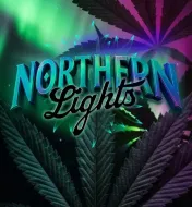 Northern Lights