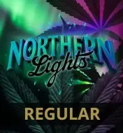 Northern Lights Regular