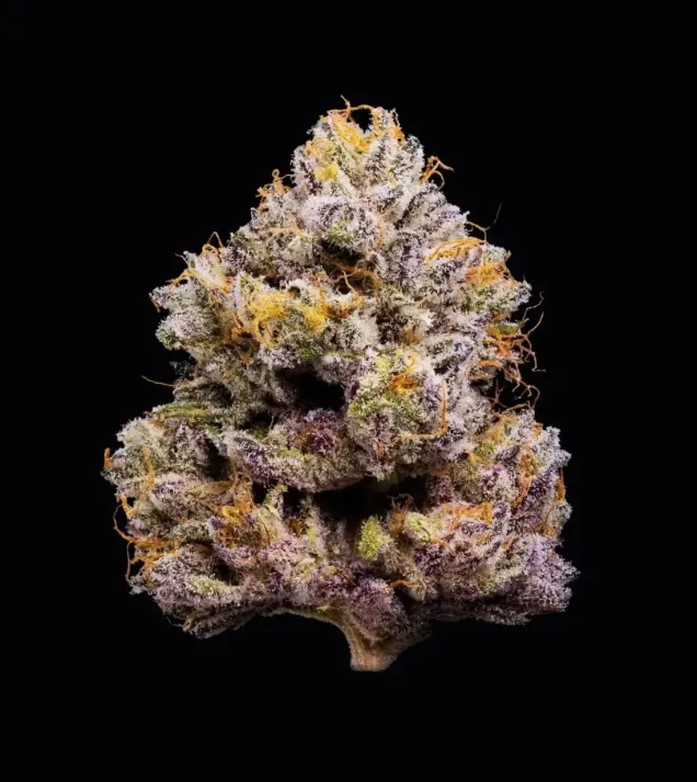 ZZ4