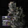 Giggin' Grapes