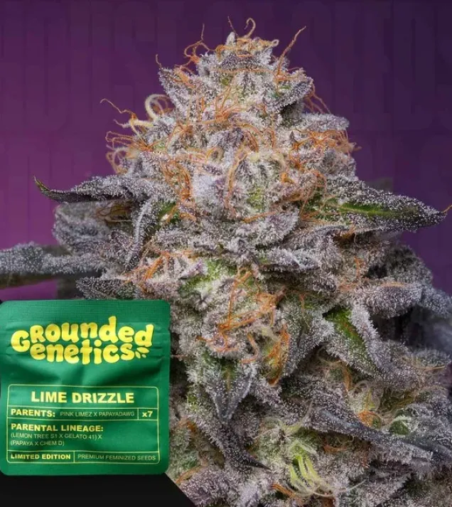 Lime Drizzle