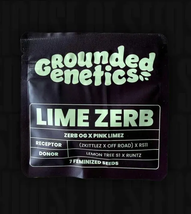 Lime Zerb