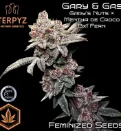 Gary & Gas&nbsp;
