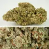 Auto SFV OG AUSVERKAUF