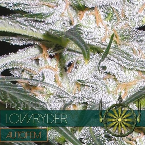 Lowryder Auto