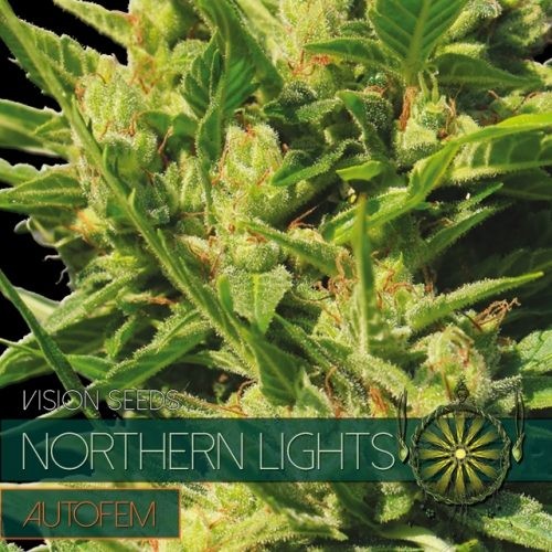 Northern Lights Auto