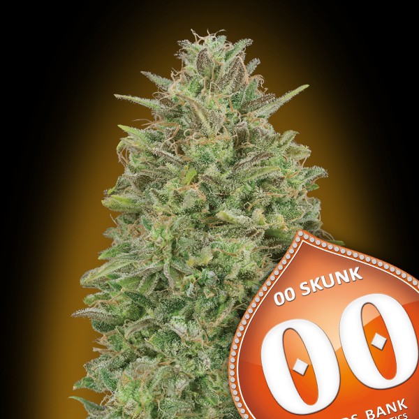 00 Skunk