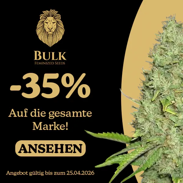 Bulk Feminized Seeds