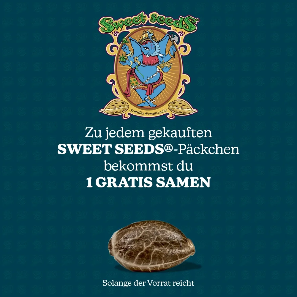 Kostenloser Sweet Seeds Samen