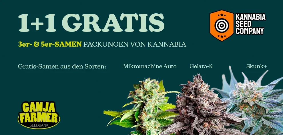 Kannabia 1+1