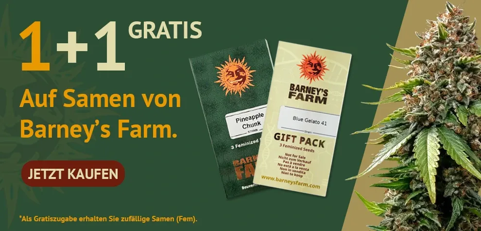 Barney's Farm 1+1