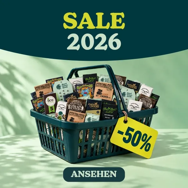 SALE -50%
