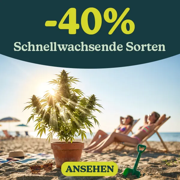 -40% Schnell wachsende Sorten