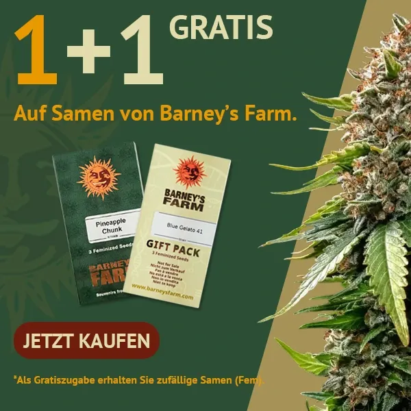 Barney's Farm 1+1