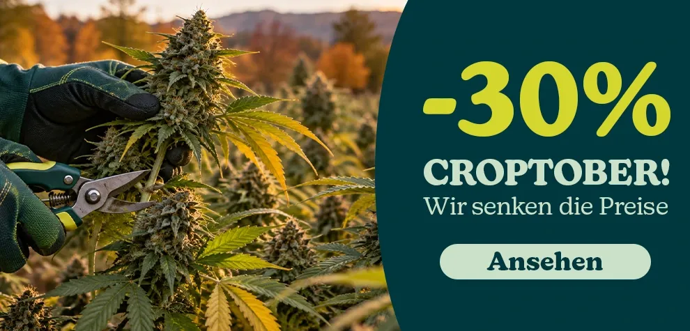 CROPTOBER – wir senken die Preise um bis zu 30 %!