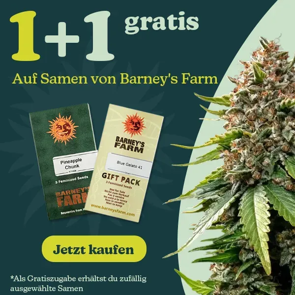 Barney's Farm 1+1