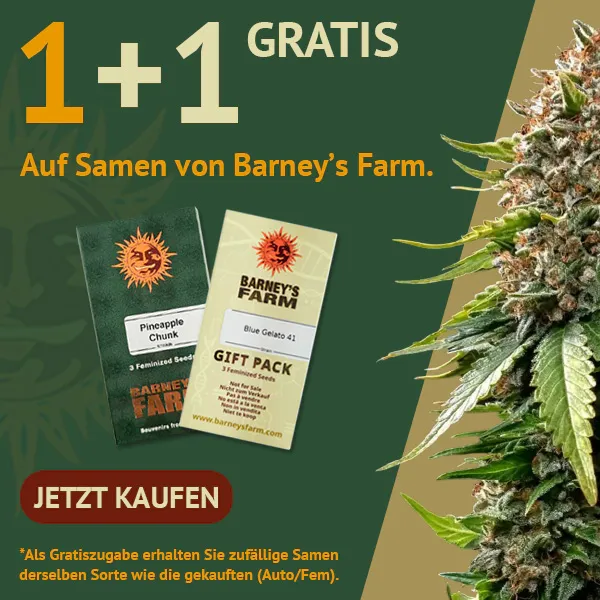 Barney's Farm 1+1