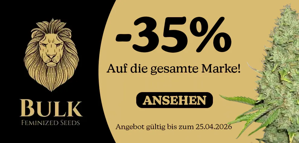 Bulk Feminized Seeds