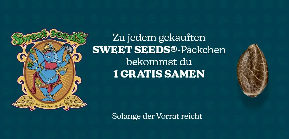 Kostenloser Sweet Seeds Samen