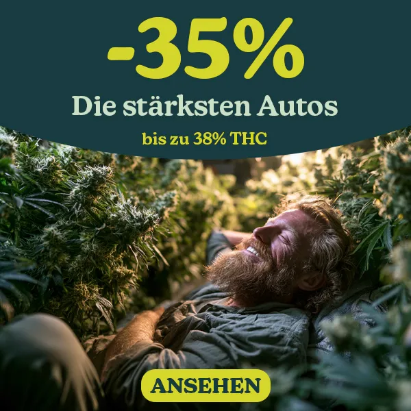 St&auml;rkste Autoflowering sorten
