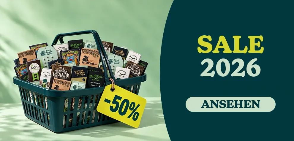 SALE -50%