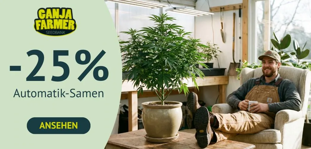 -25 % AUTOFLOWER-SAMEN