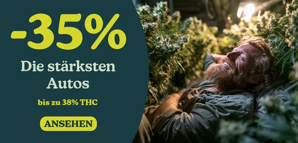 St&auml;rkste Autoflowering sorten