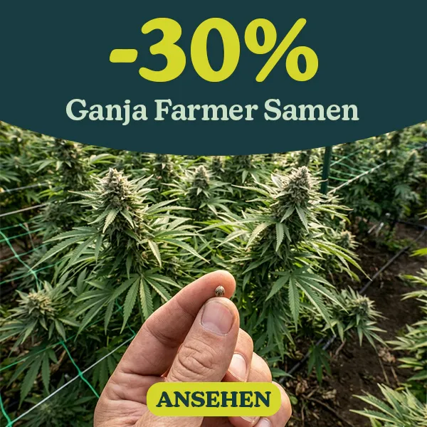 -30% Ganja Farmer