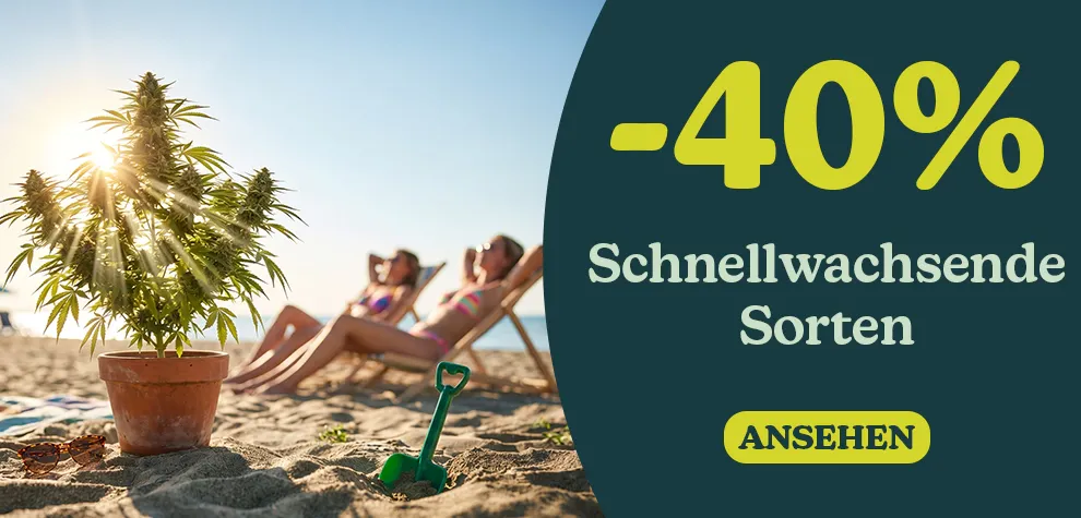 -40% Schnell wachsende Sorten