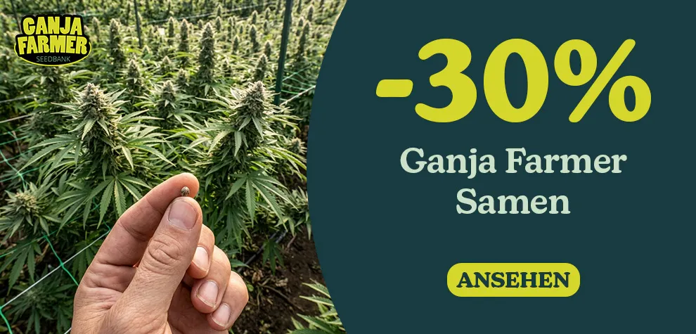 -30% Ganja Farmer