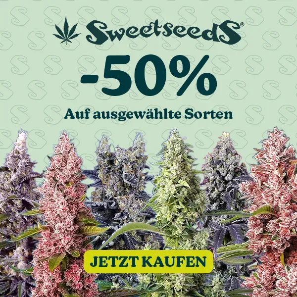 Sweet Seeds -50%