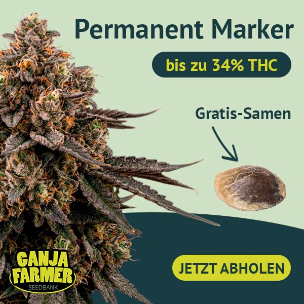 Dołącz do newslettera