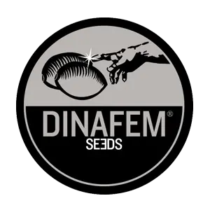 Dinafem