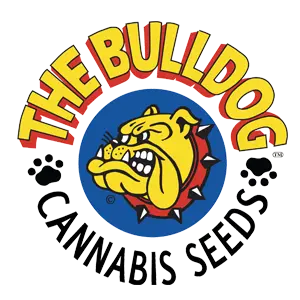 Bulldog Seeds