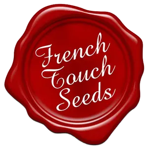 French Touch Seeds