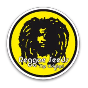 Reggae Seeds